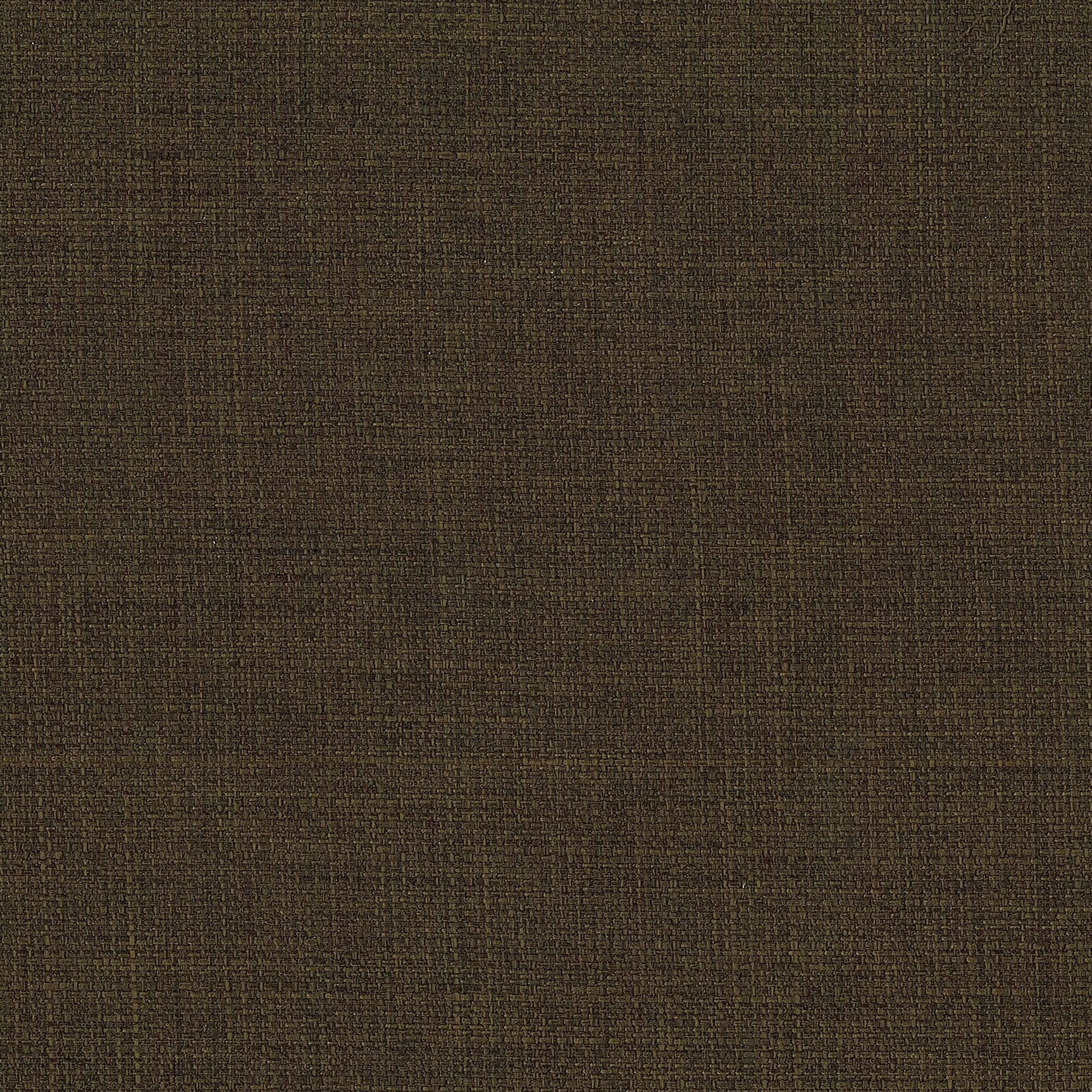 Spring Creek Upholstered Dining Chair Chocolate (Set of 2) - Tampa Furniture Outlet