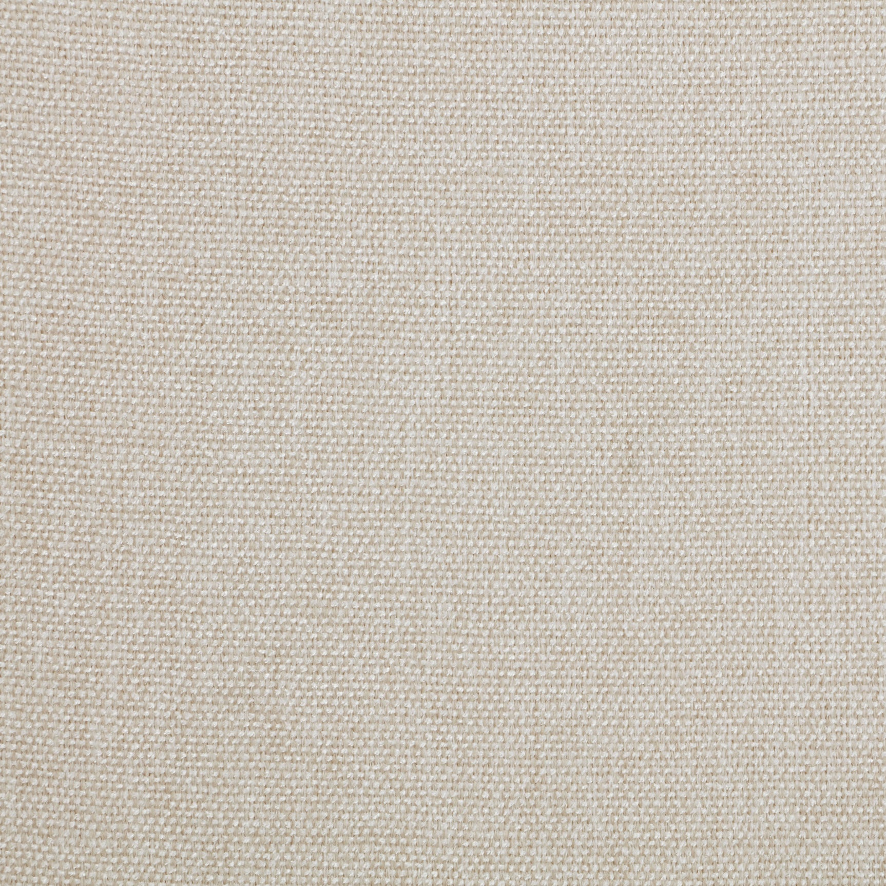 Trofello Cushioned Dining Side Chair White Washed (Set of 2) - Tampa Furniture Outlet