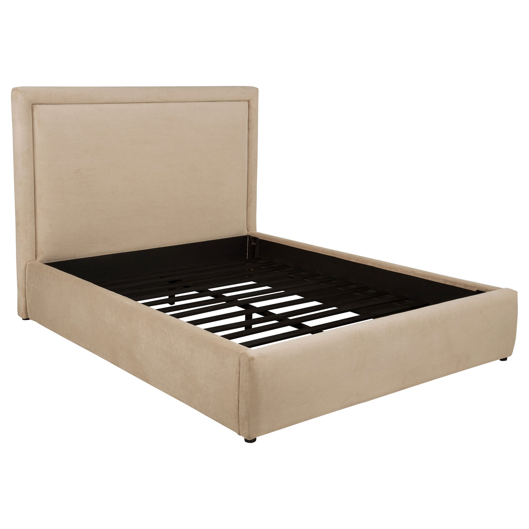 Tampa Furniture Outlet - Coaster - Lawson 54-inch Upholstered Queen Platform Bed Light Saddle - 315835LQ