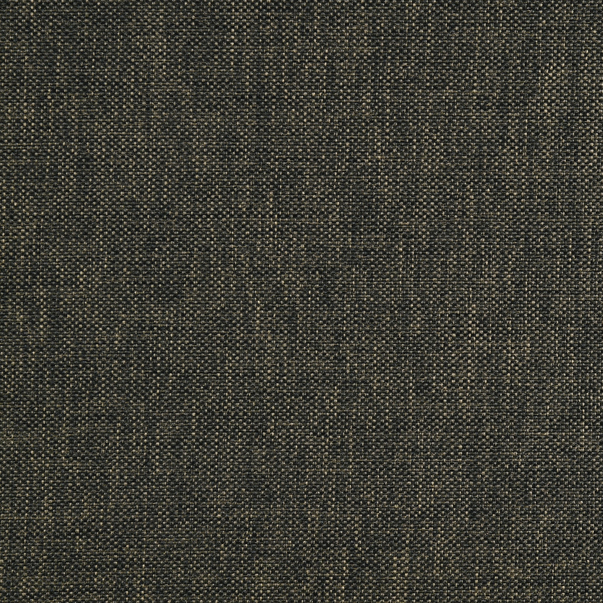 Boyd Upholstered Twin Panel Bed Charcoal