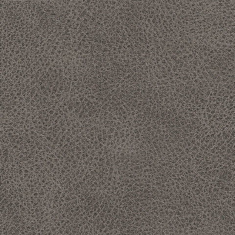 WhipLash Living Room - Tampa Furniture Outlet