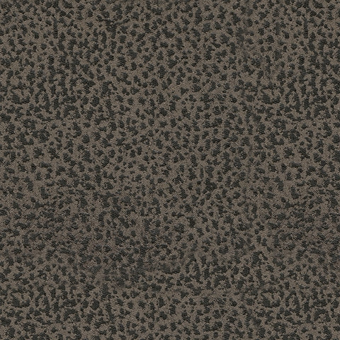 Camera Time Living Room - Tampa Furniture Outlet