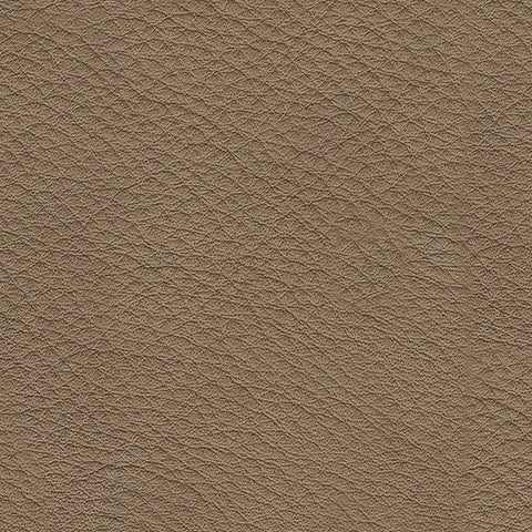 Veronella Sectional - Tampa Furniture Outlet