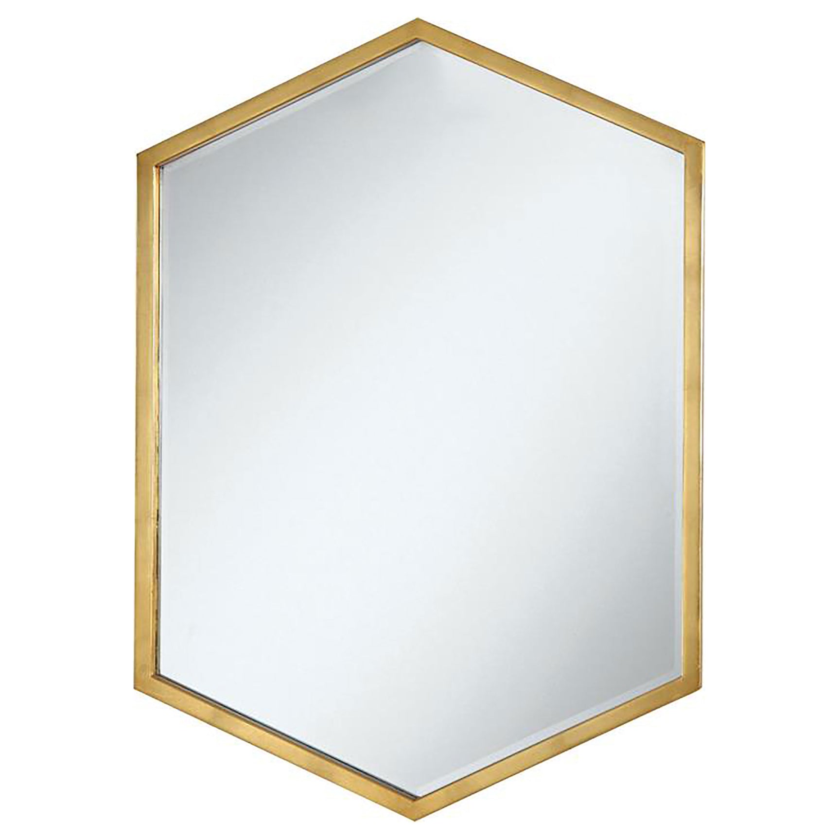 Tampa Furniture Outlet - Coaster - Bledel 24 x 34 Inch Hexagonal Wall Mirror Gold - 902356