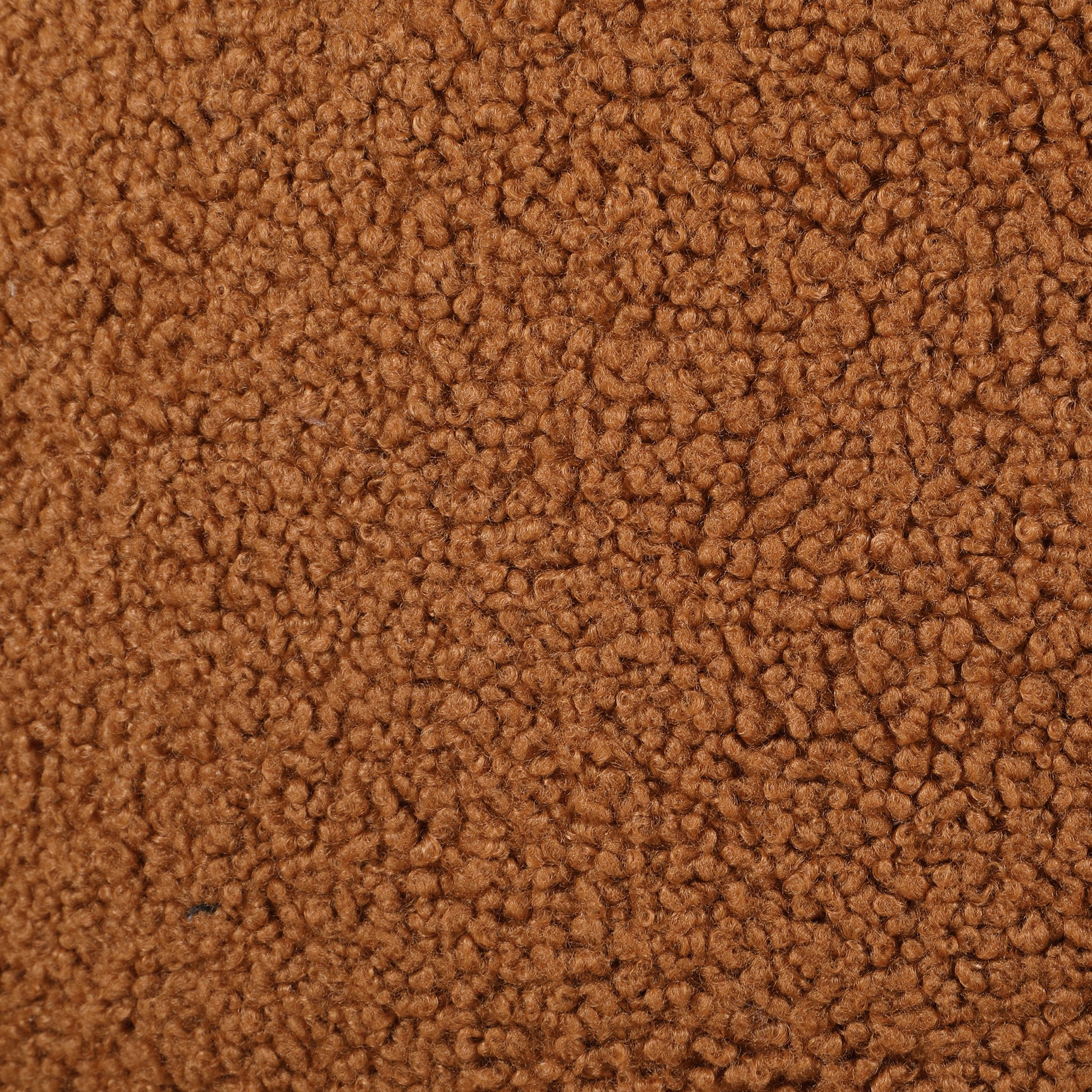 Zonie Boucle Upholstered Barrel Back Accent Chair Orange - Tampa Furniture Outlet