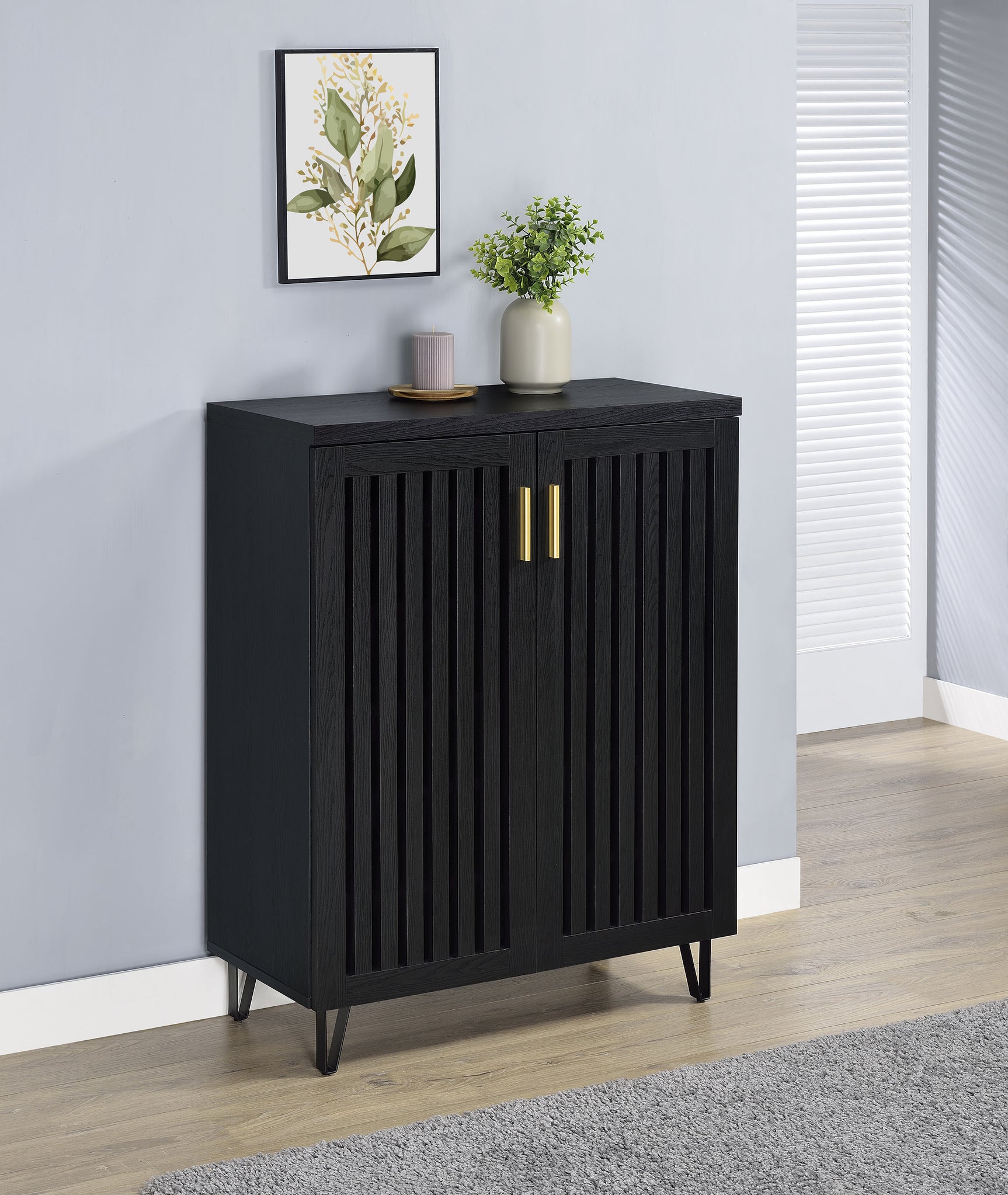 Brixton 2-door Entryway Shoe Storage Cabinets Black - Tampa Furniture Outlet