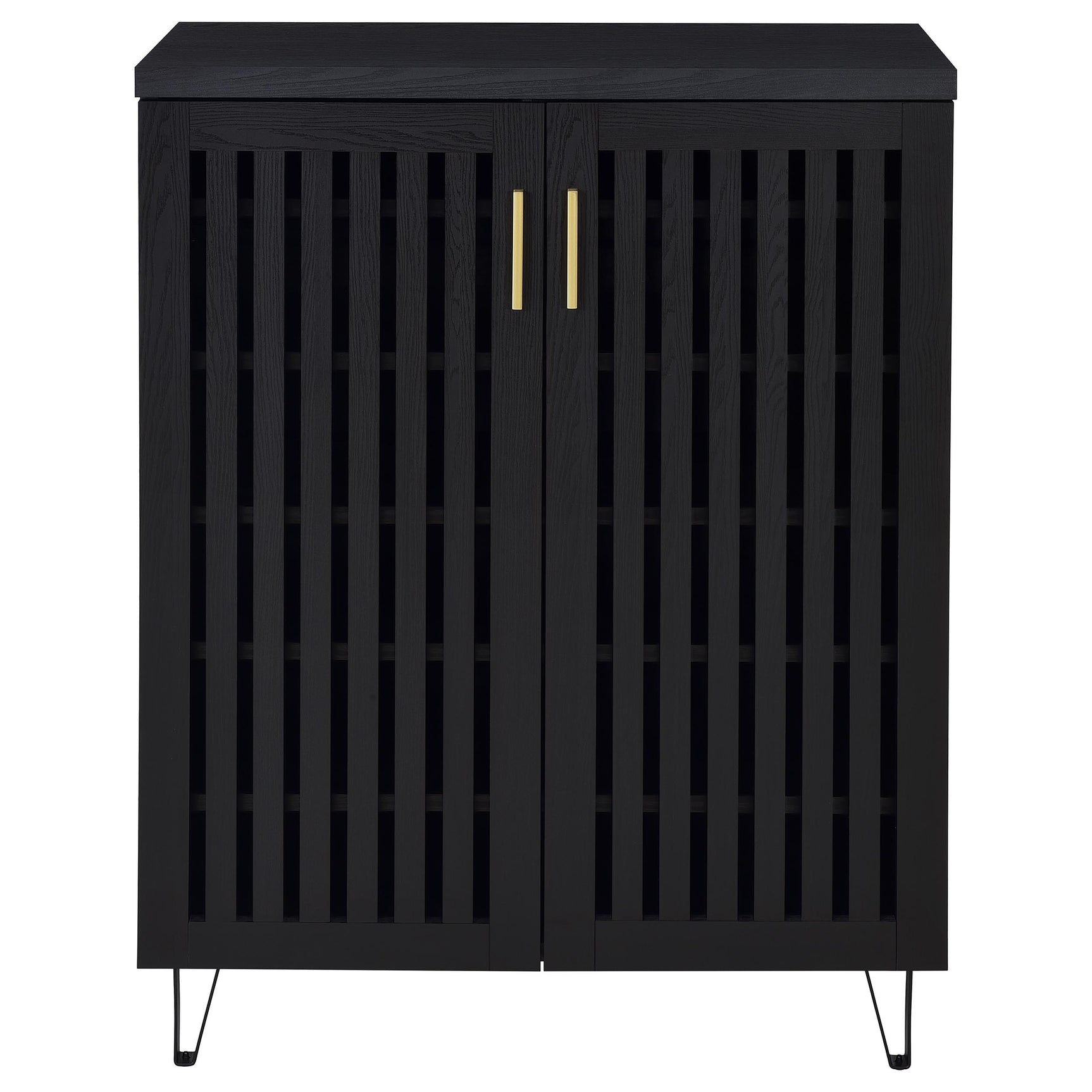 Brixton 2-door Entryway Shoe Storage Cabinets Black - Tampa Furniture Outlet