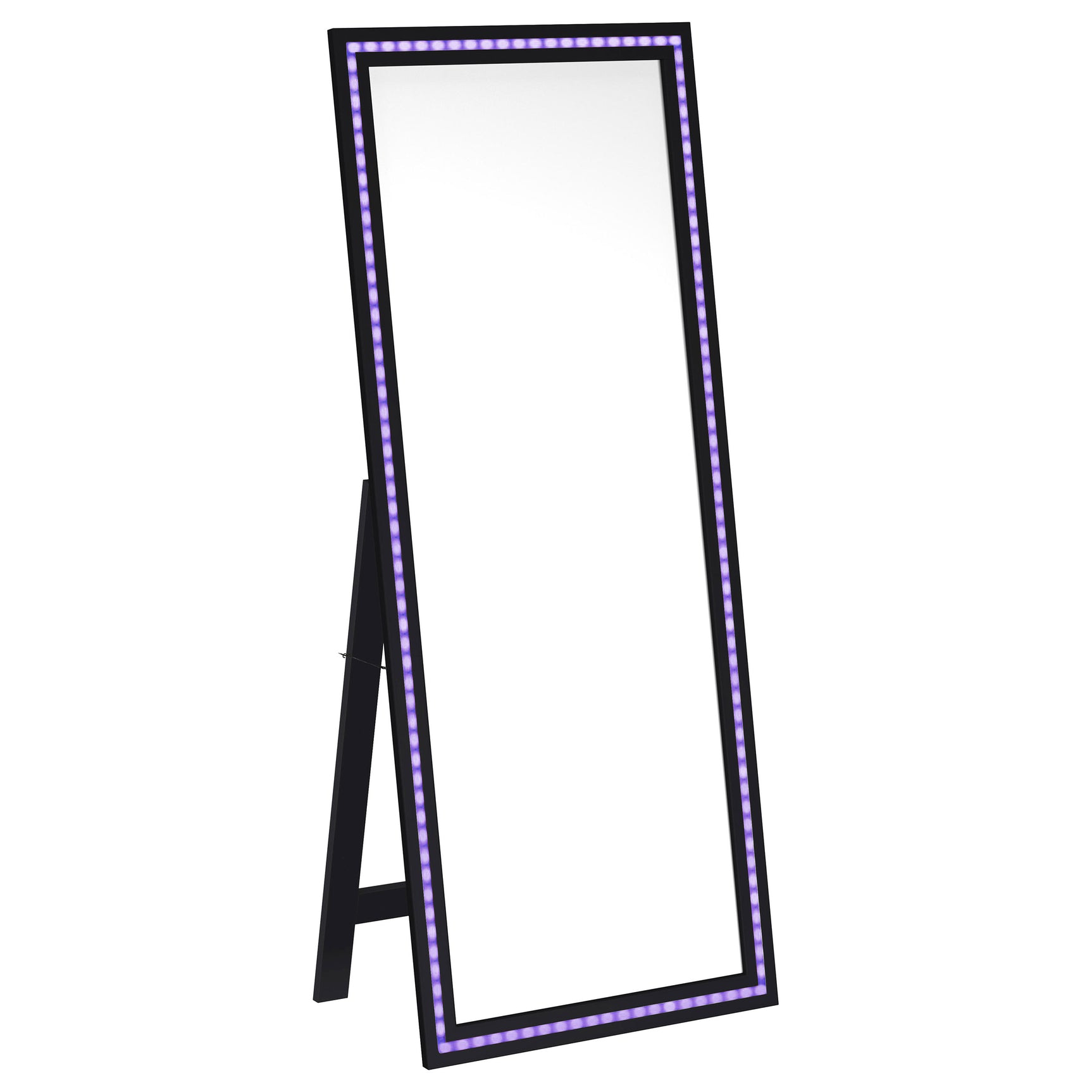 Windrose 28 x 67 Inch Tempered LED Standing Mirror Black - Tampa Furniture Outlet