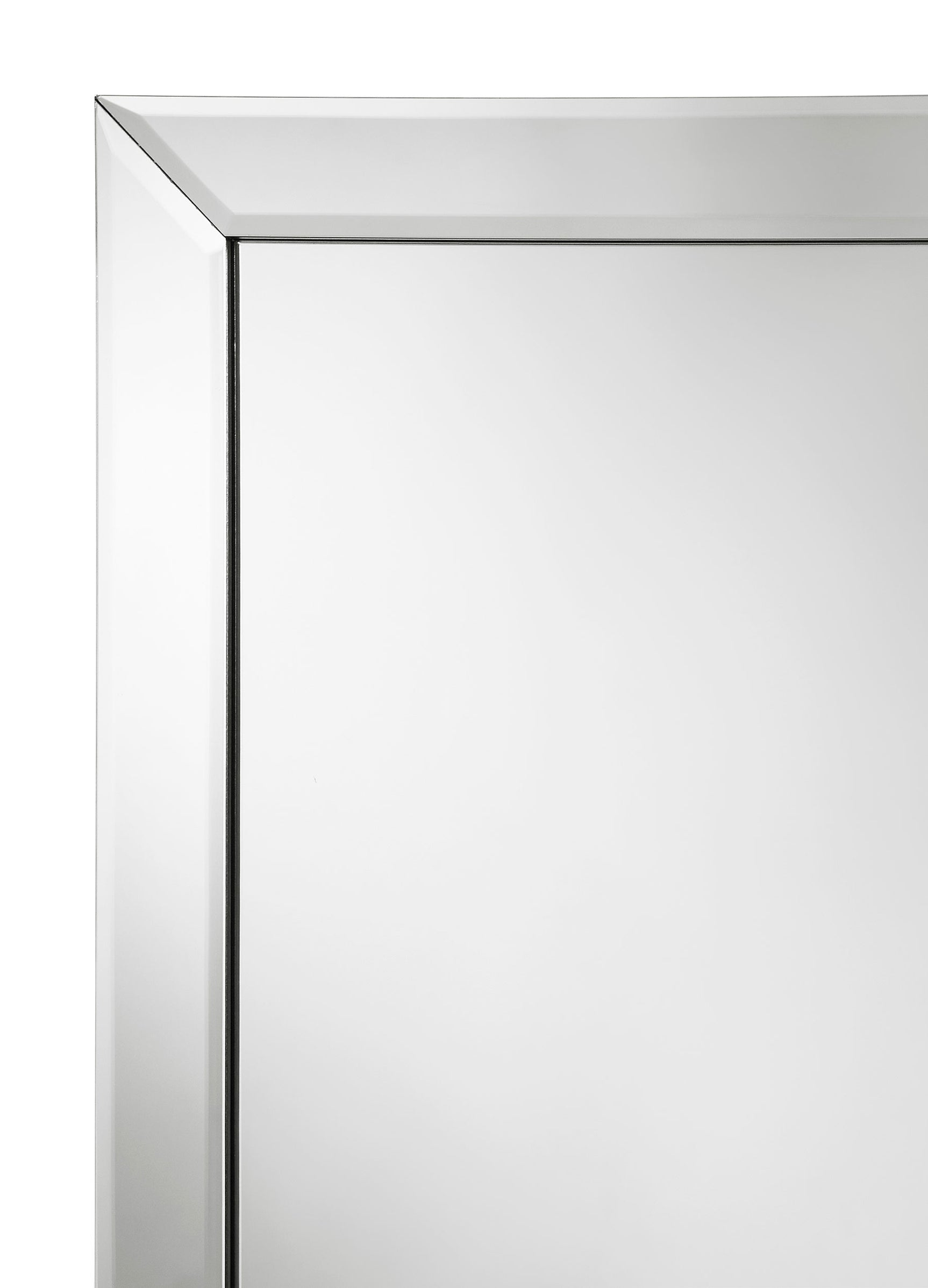 Soline 22 x 61 Inch Framed Standing Floor Mirror Silver - Tampa Furniture Outlet