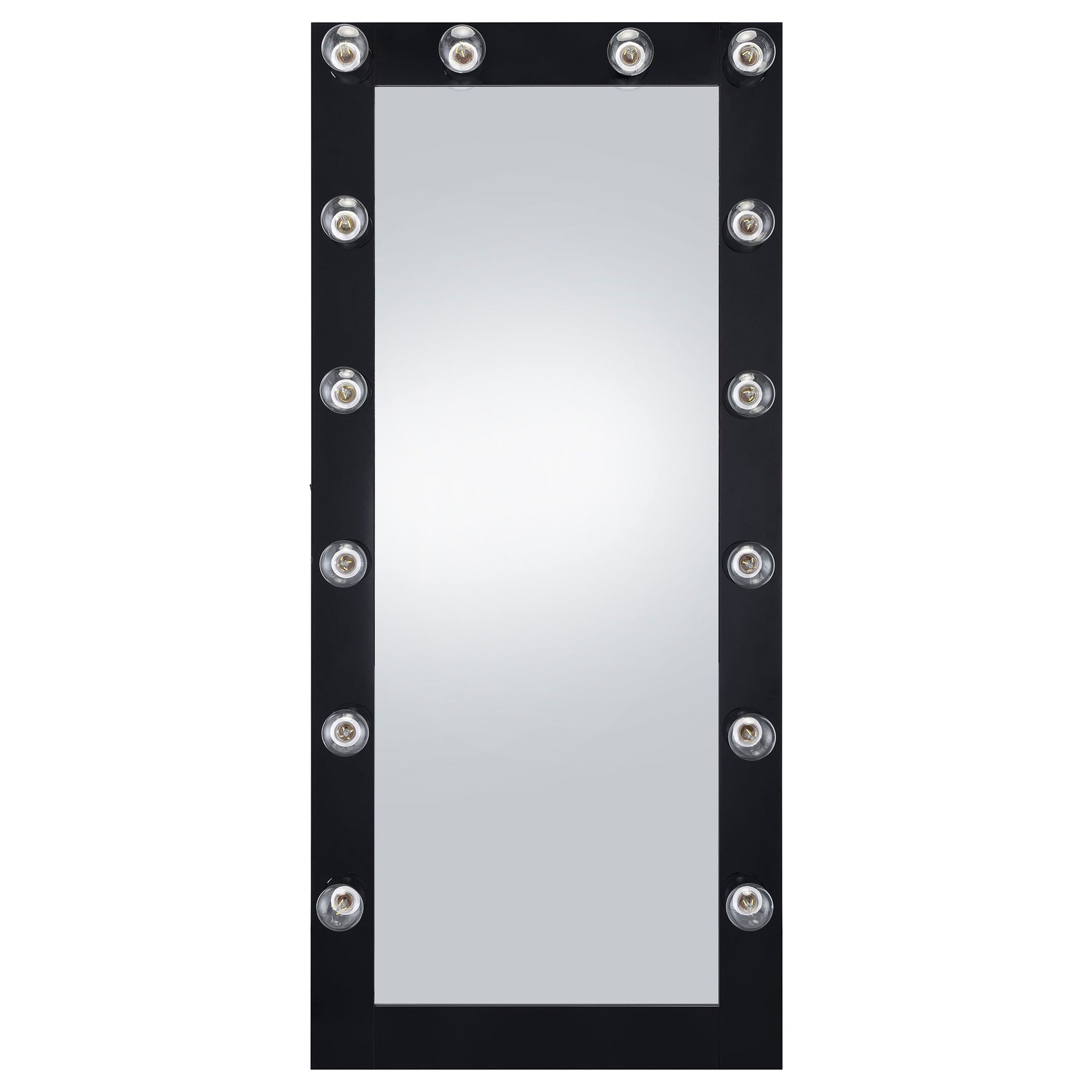 Zayan 32 x 71 Inch Floor Mirror LED Lighting Black Gloss