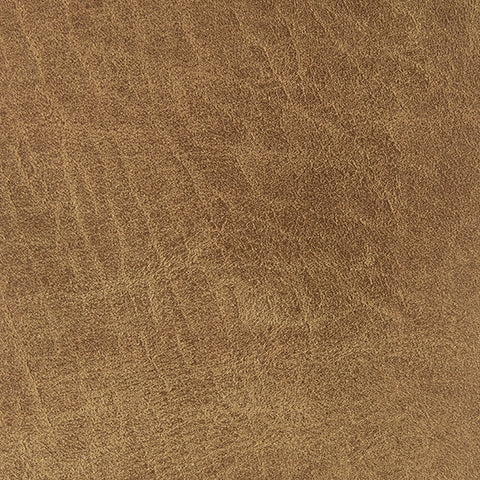 Cortnie Pillows - Tampa Furniture Outlet