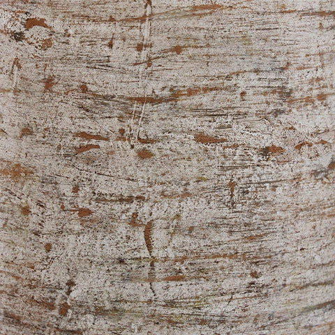 Wellbridge Vase - Tampa Furniture Outlet