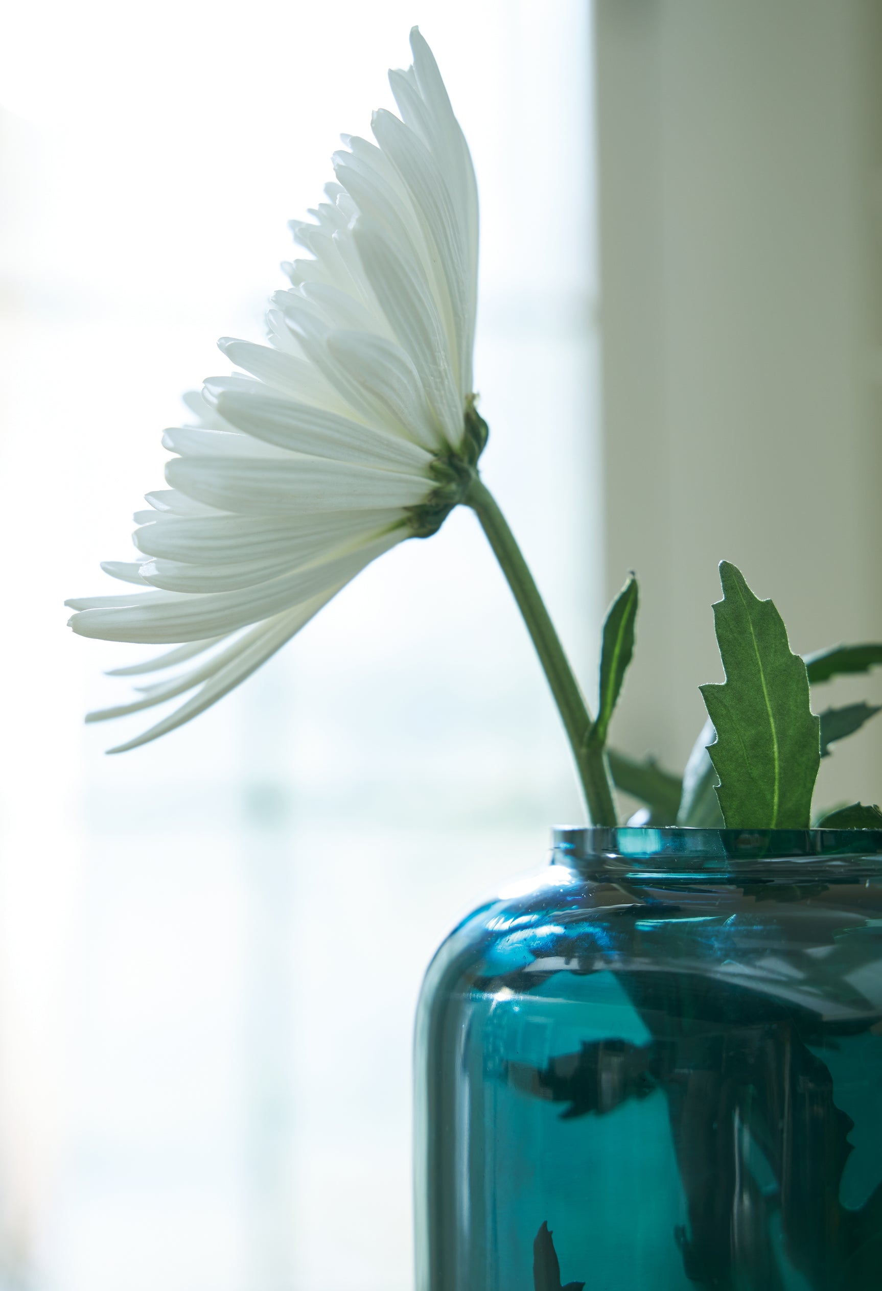 Inisland Vase - Tampa Furniture Outlet