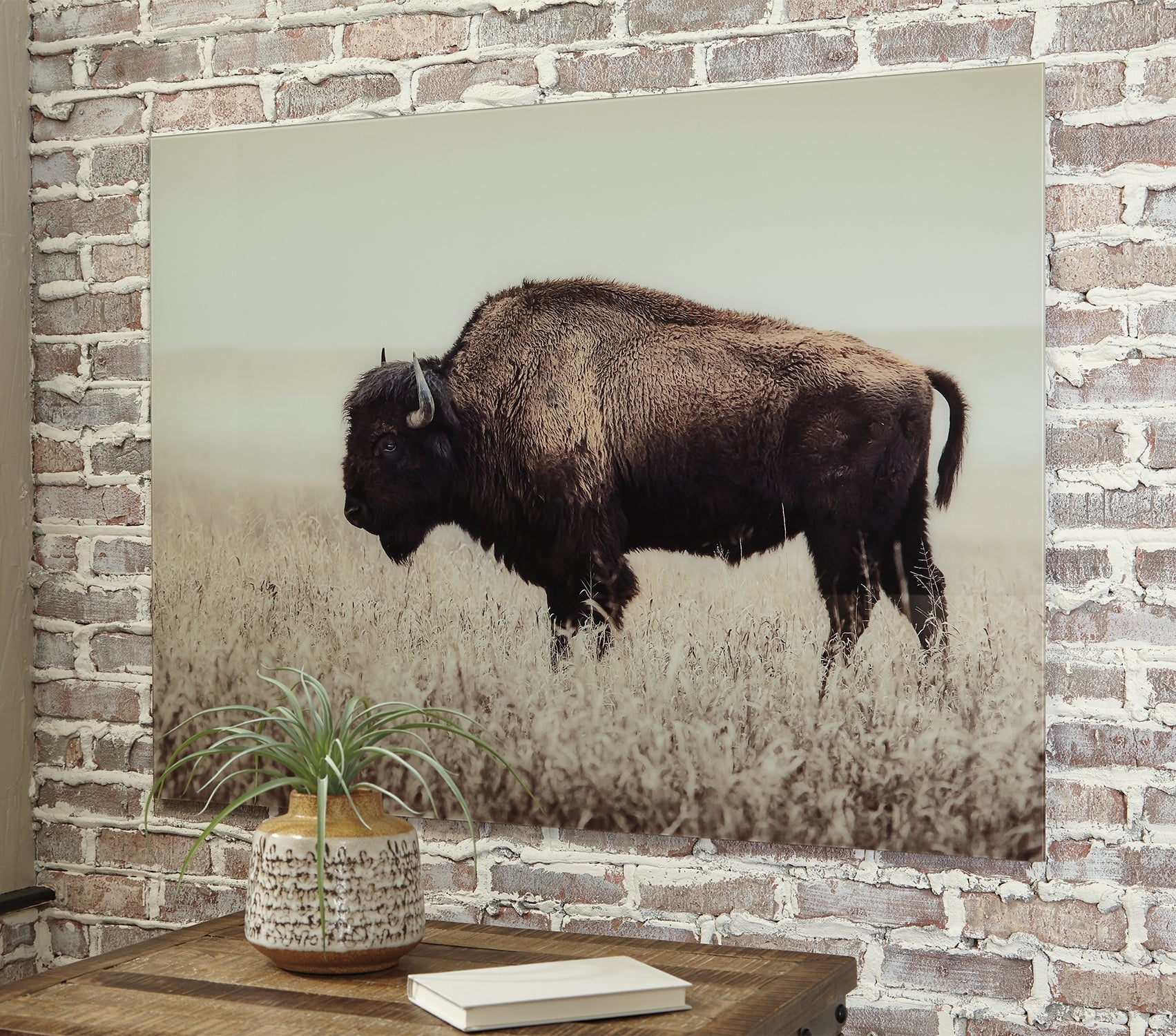 Brutus Wall Decor - Tampa Furniture Outlet