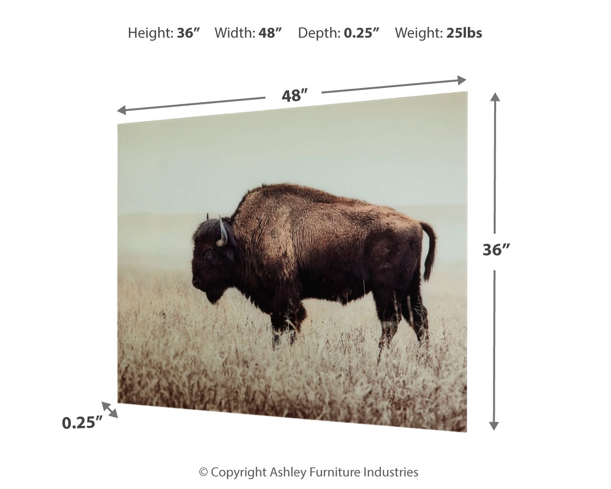 Brutus Wall Decor - Tampa Furniture Outlet