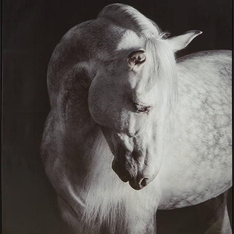 Archerwick Wall Decor - Tampa Furniture Outlet