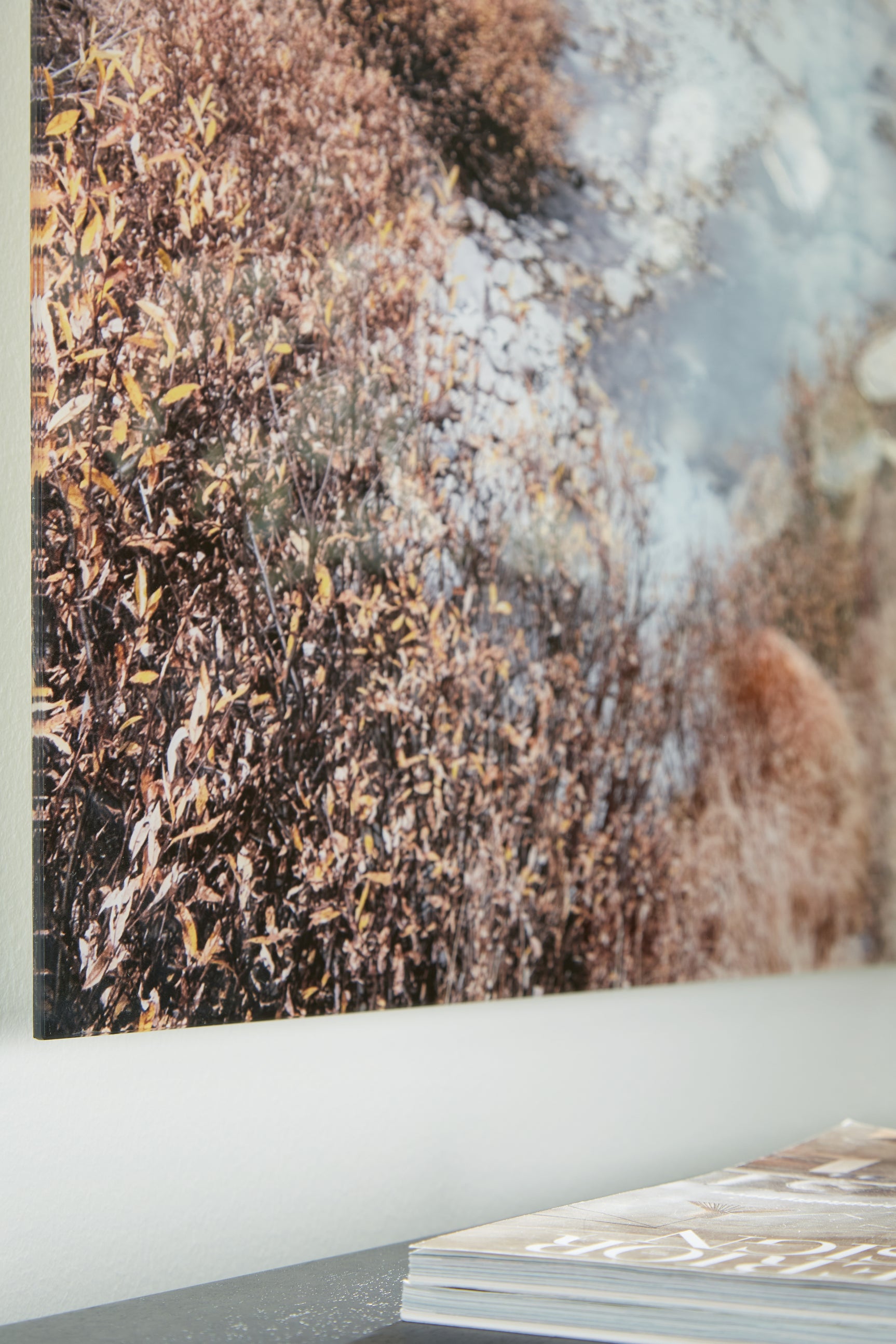 Darinby Wall Decor - Tampa Furniture Outlet