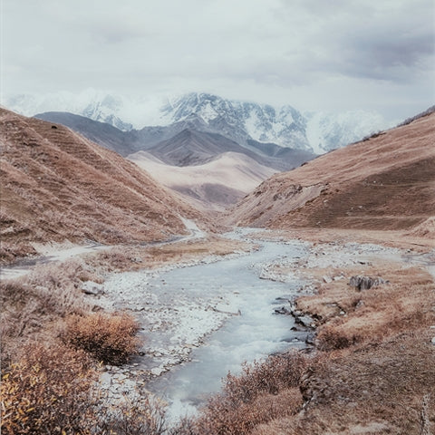 Darinby Wall Decor - Tampa Furniture Outlet