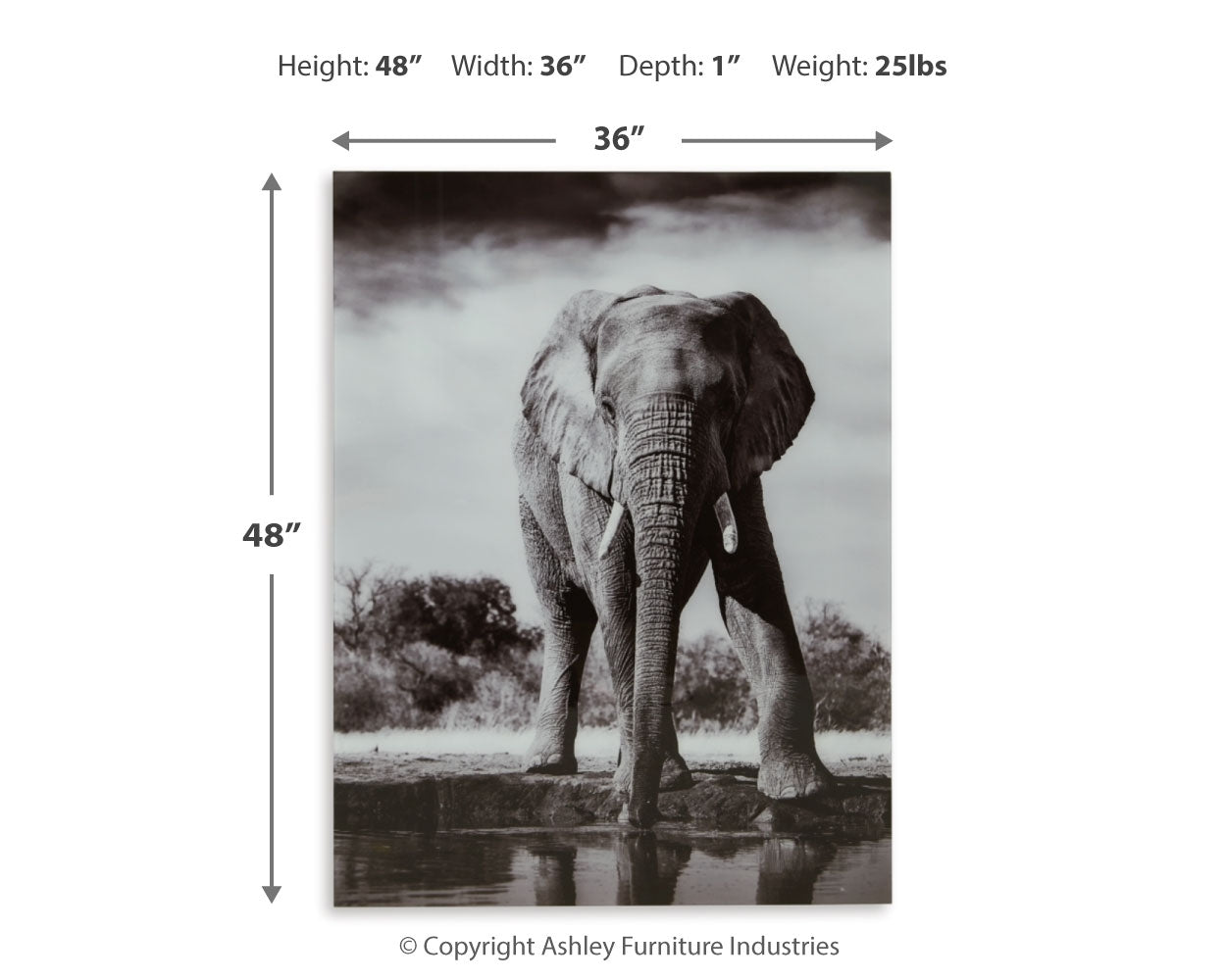 Glinyard Wall Decor - Tampa Furniture Outlet