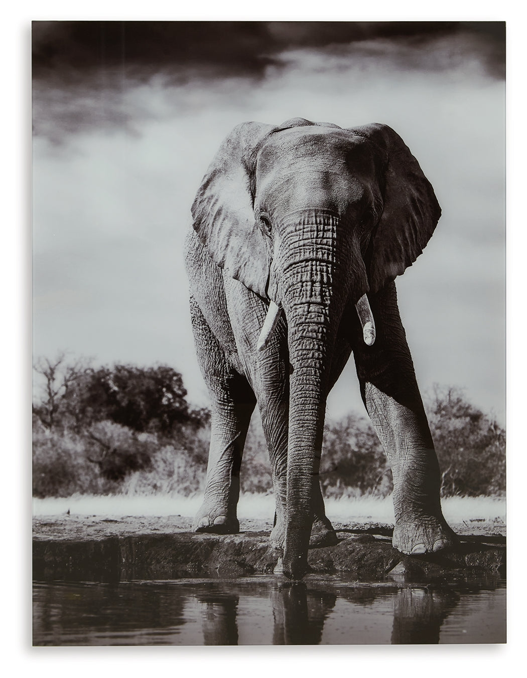 Glinyard Wall Decor - Tampa Furniture Outlet