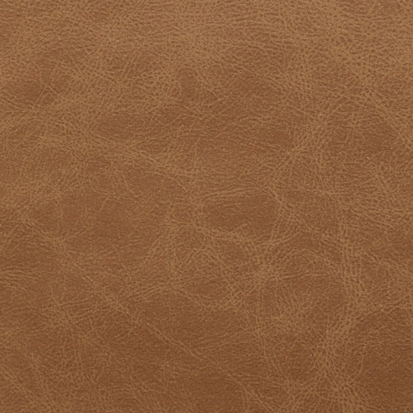 Brisbane Dining Side Chair with Bozeman Brown PU in Brown (2 Per Carton) - Tampa Furniture Outlet