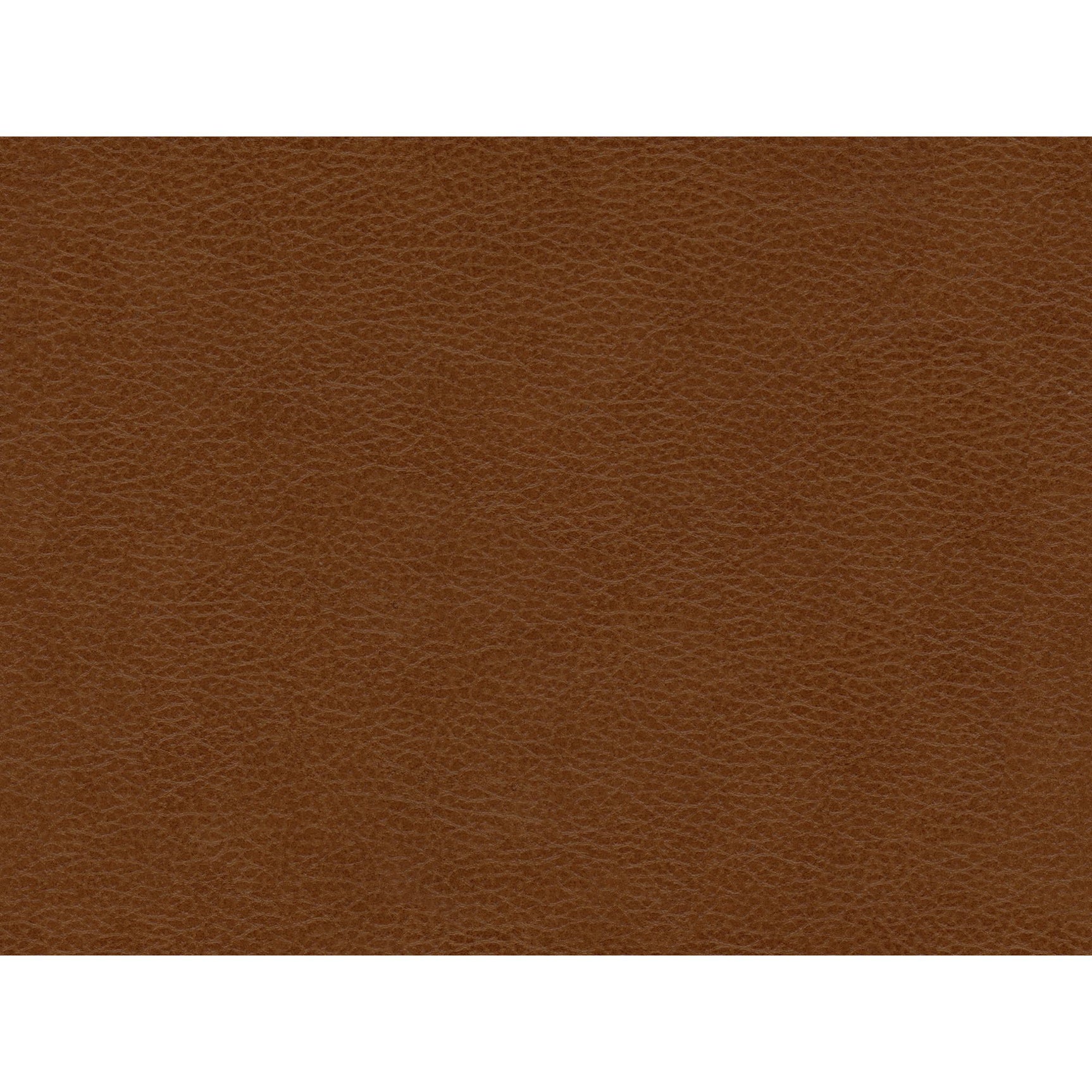 Hampton Chair in Fiero Tan (Top Grain/PVC) - Tampa Furniture Outlet