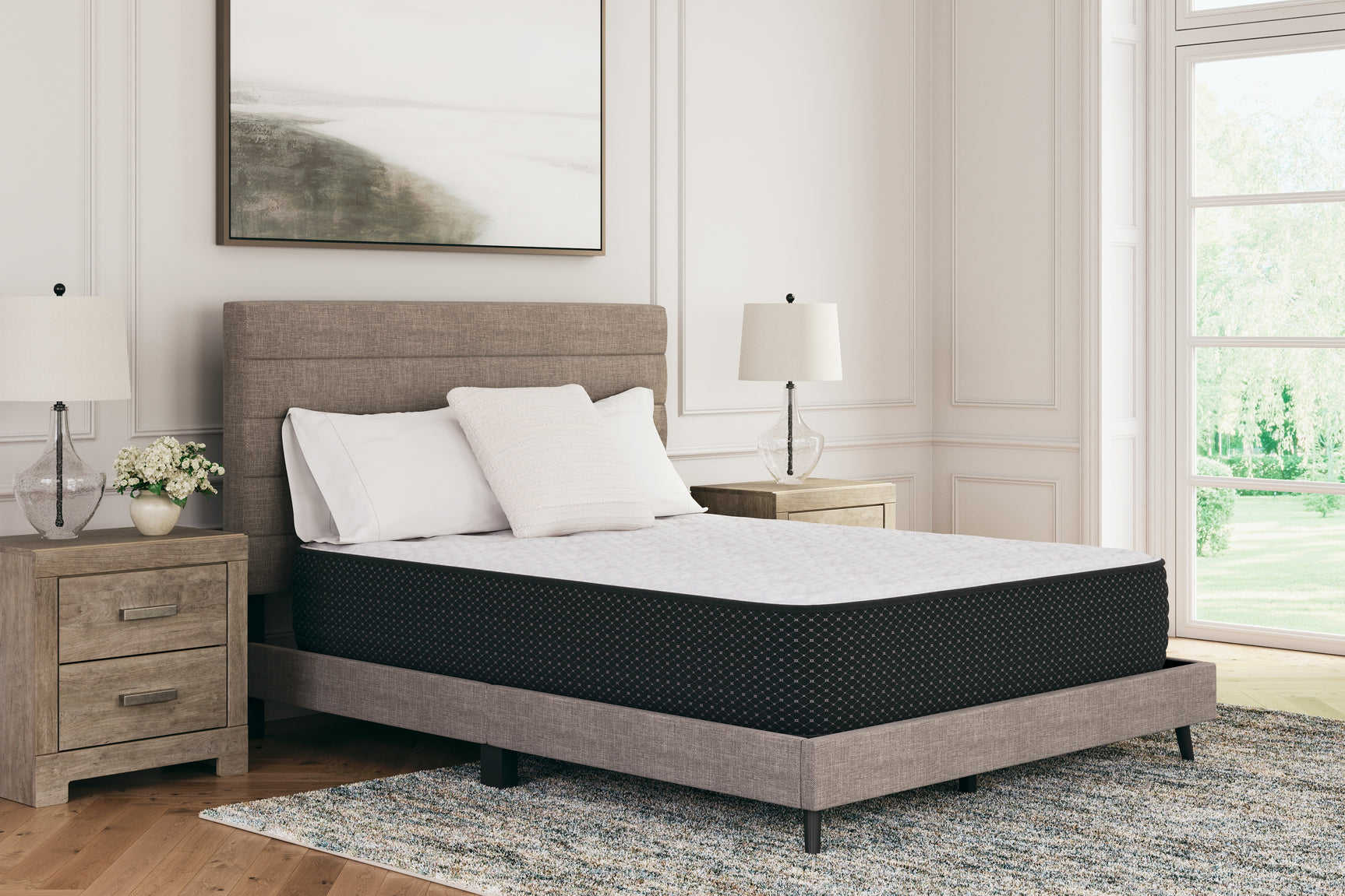 Limited Edition Plush Mattresses - Tampa Furniture Outlet