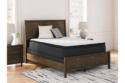 Limited Edition PT Mattress - Tampa Furniture Outlet