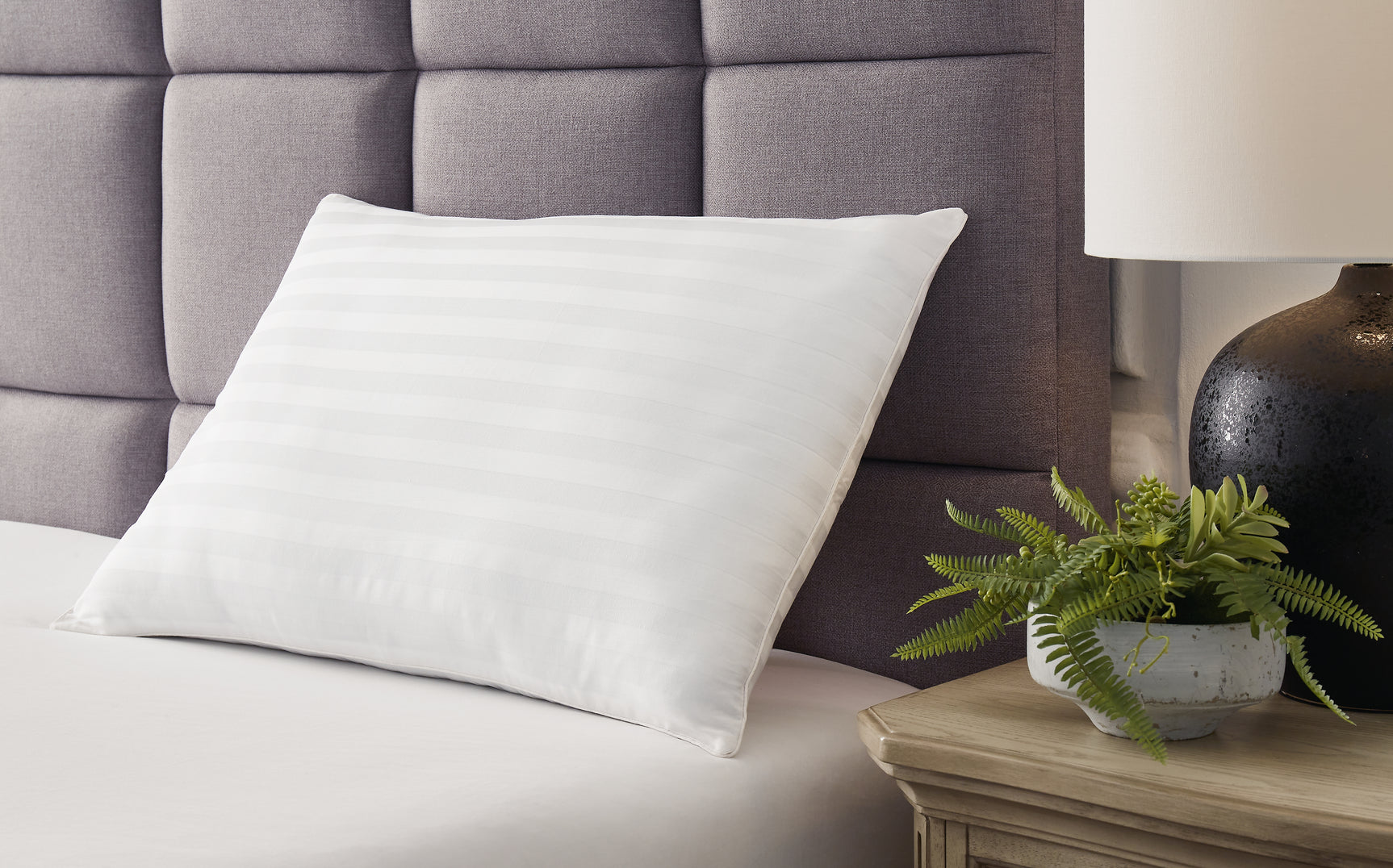 Zephyr 2.0 Pillows - Tampa Furniture Outlet