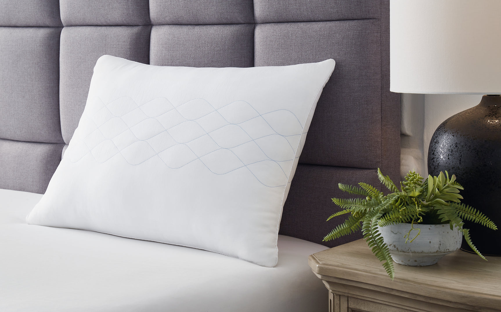 Zephyr 2.0 Pillows - Tampa Furniture Outlet