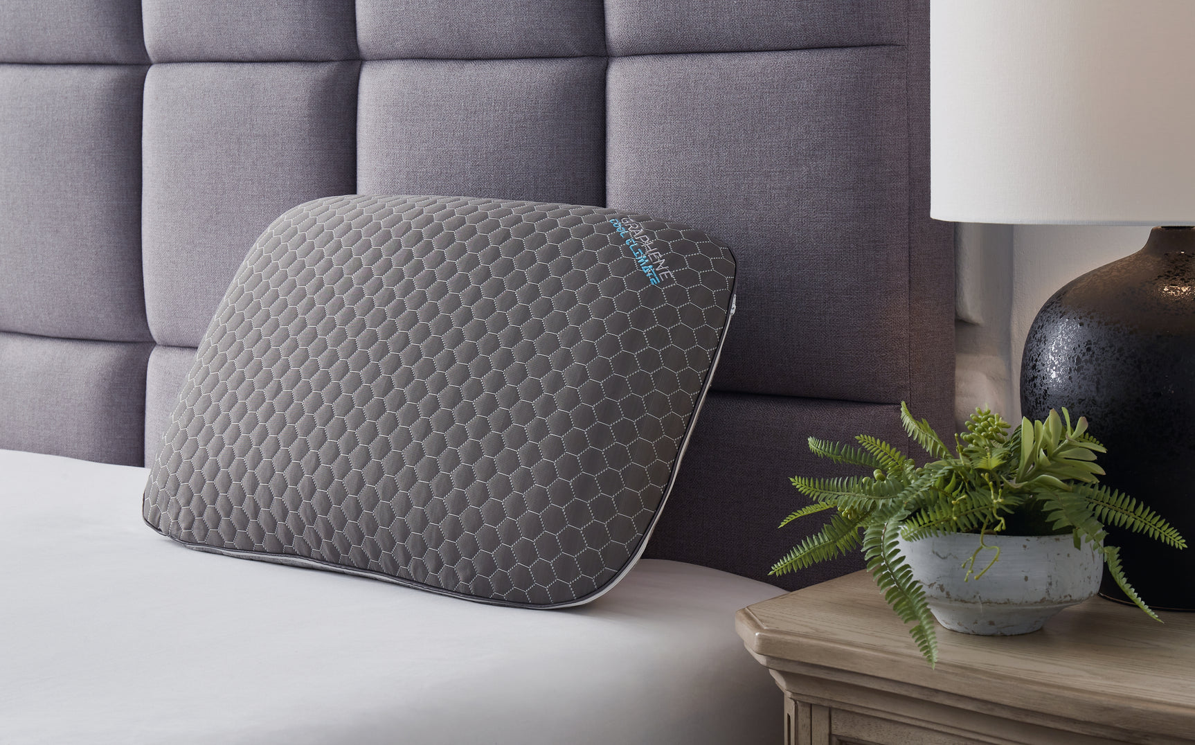 Zephyr 2.0 Pillows - Tampa Furniture Outlet