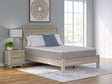 Tampa Furniture Outlet - Ashley Furniture - Terra Sleep Firm Mattresses - California King / White - M52251