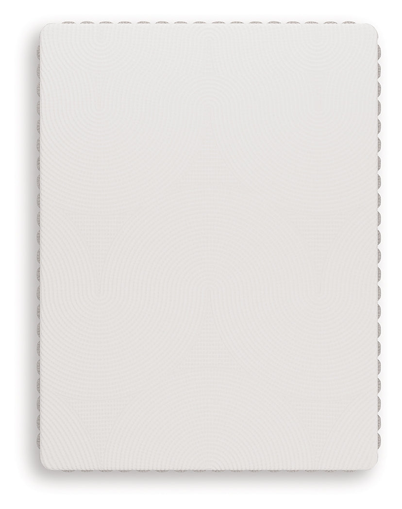 Terra Sleep Medium Mattresses - Tampa Furniture Outlet