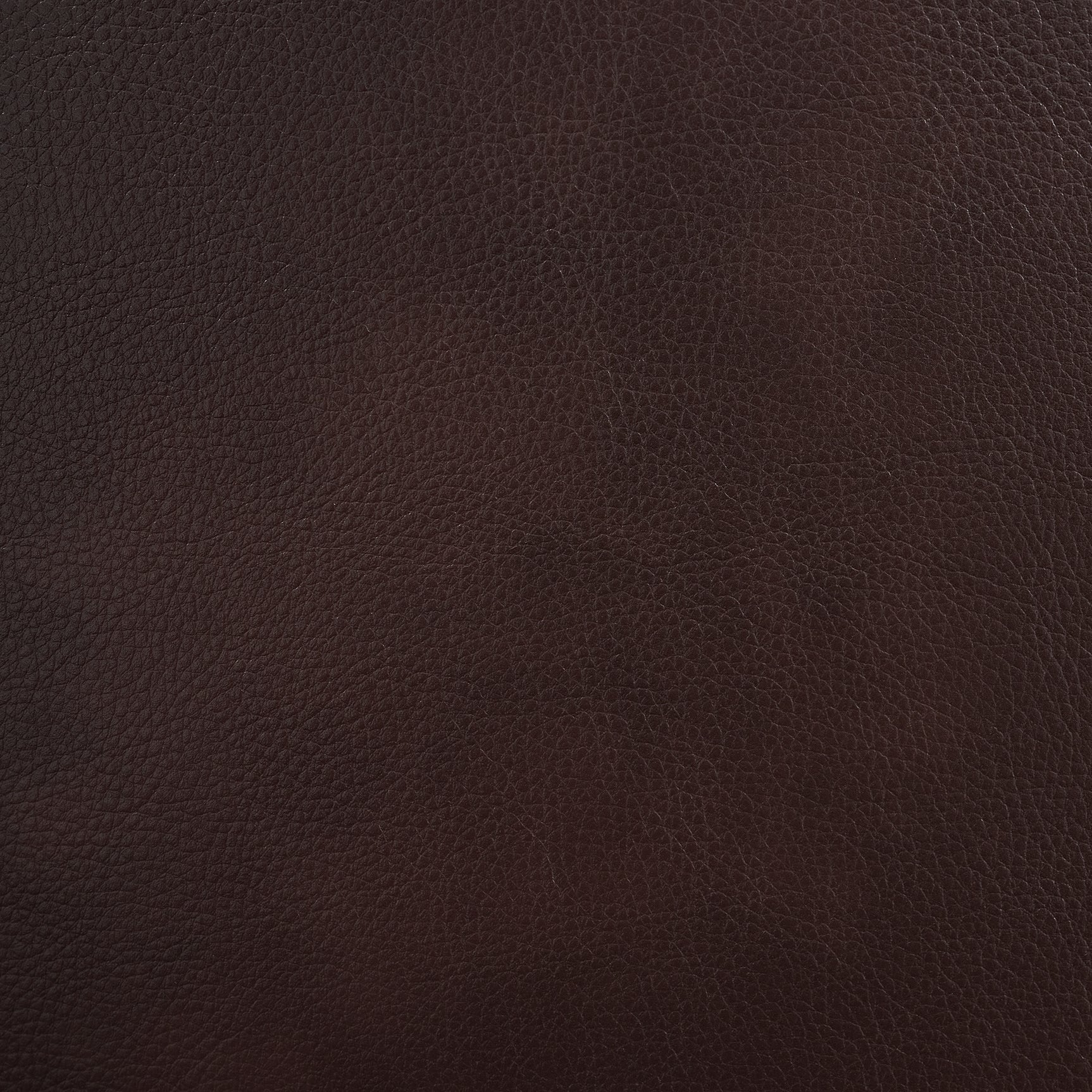 Panther Motion Sofa in Neono Brown - Tampa Furniture Outlet