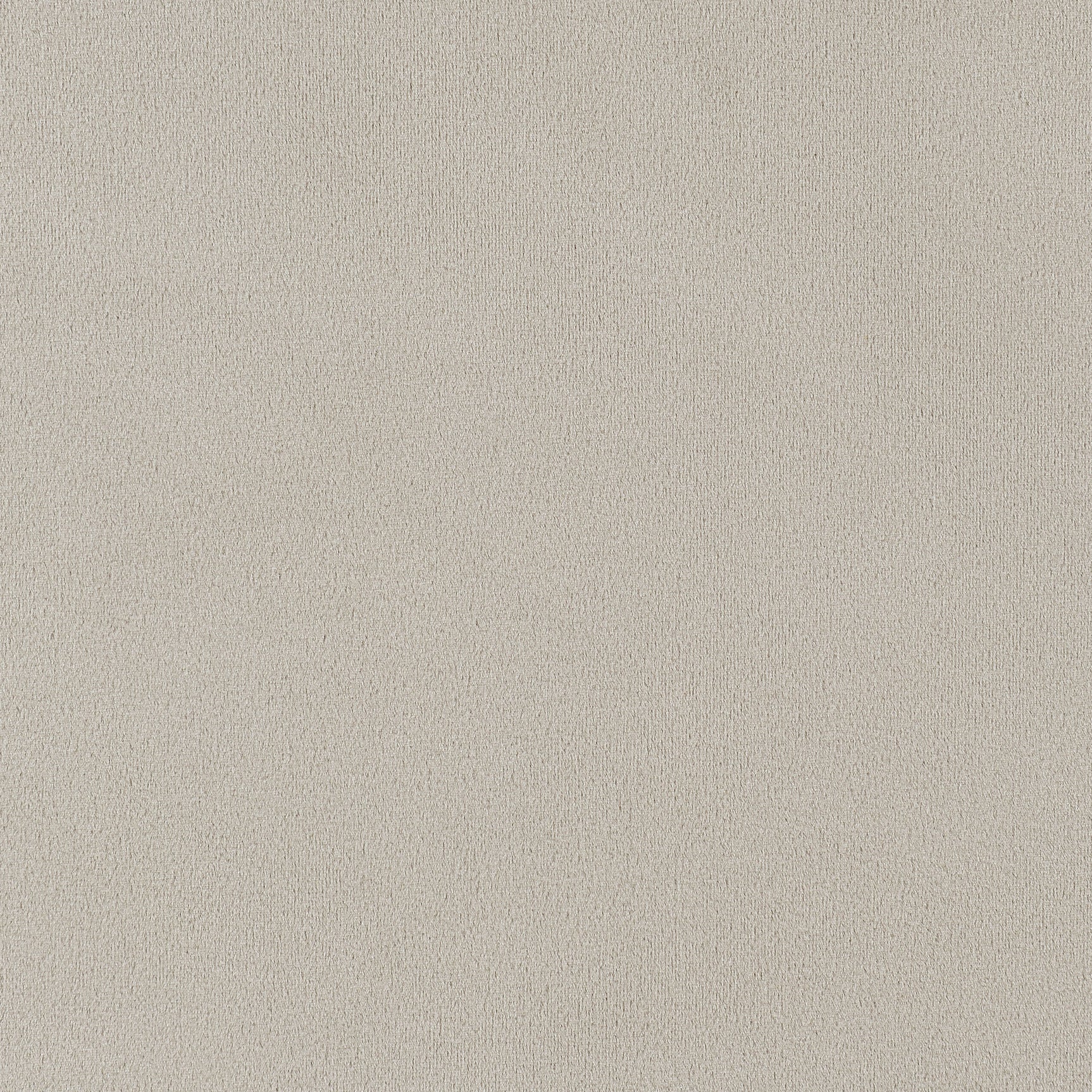Alana Velvet Upholstered Dining Arm Chair Sand - Tampa Furniture Outlet