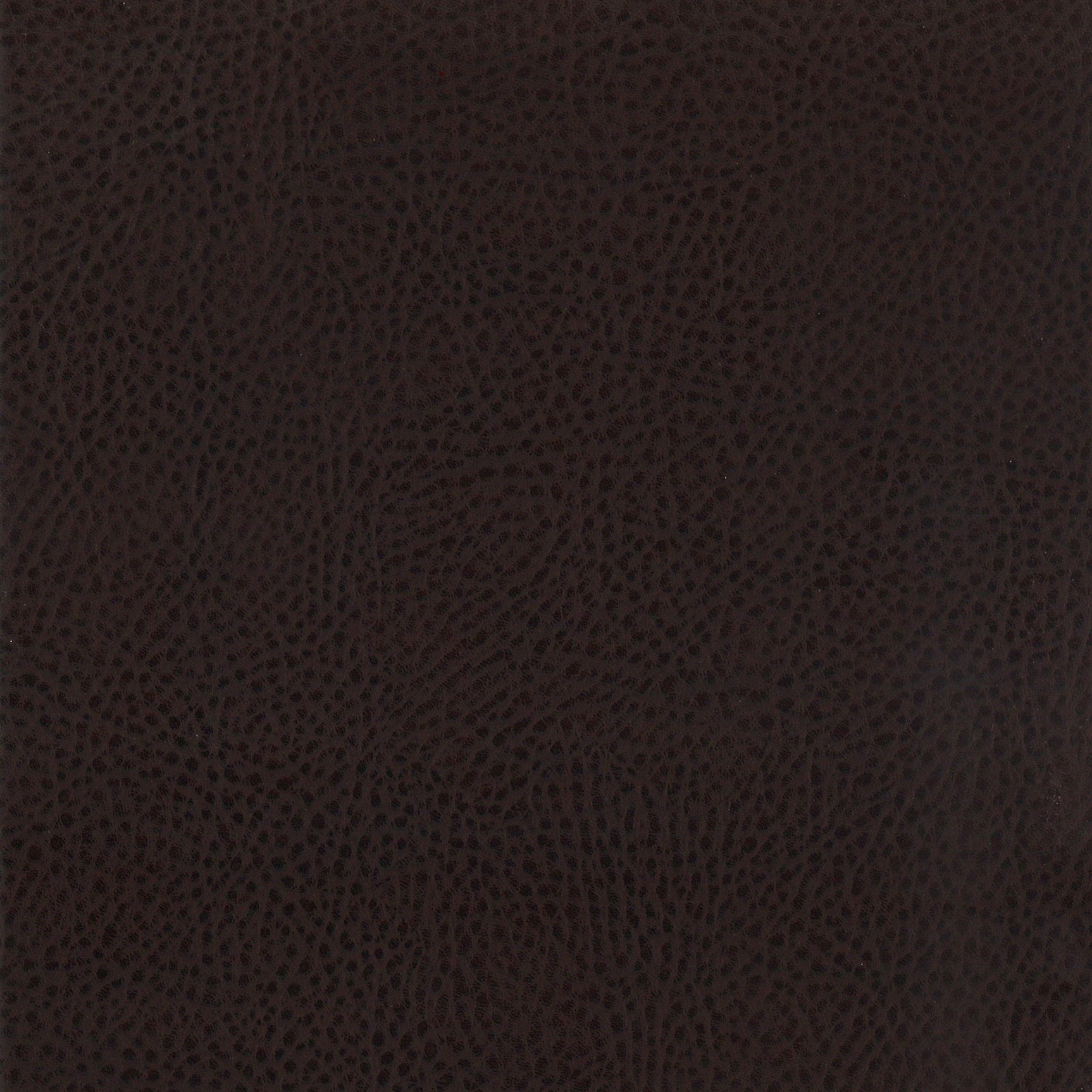 Dewey Upholstered Counter Chair Walnut (Set of 2) - Tampa Furniture Outlet