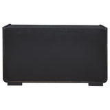 Leandro 2-drawer Dining Sideboard Server Burnished Black