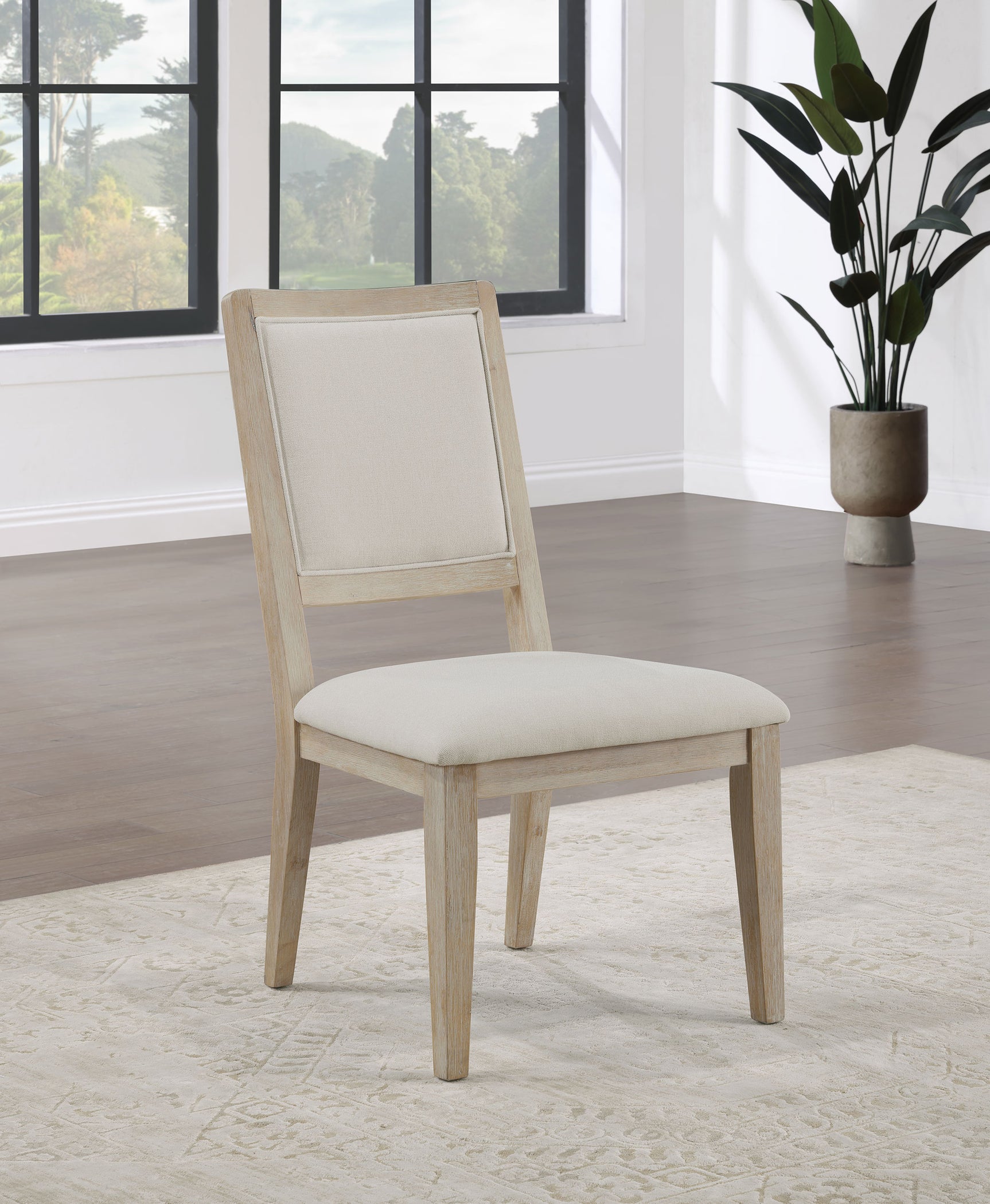 Trofello Cushioned Dining Side Chair White Washed (Set of 2) - Tampa Furniture Outlet