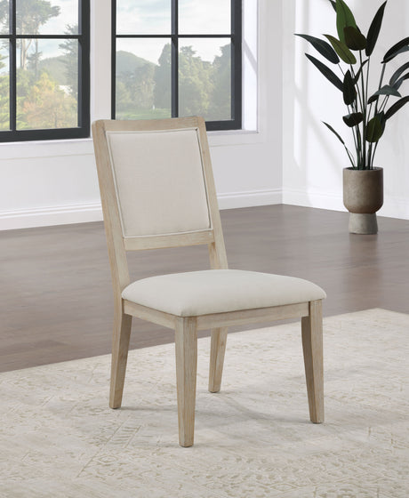 Trofello Cushioned Dining Side Chair White Washed (Set of 2) - Tampa Furniture Outlet