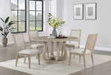 Trofello Cushioned Dining Side Chair White Washed (Set of 2) - Tampa Furniture Outlet