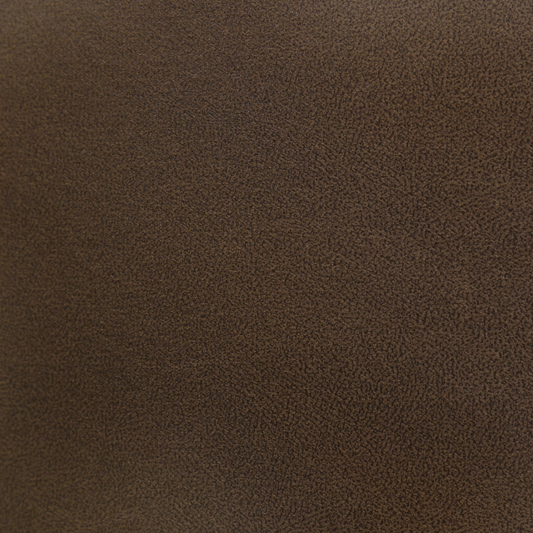 Randolph Dining Side Chair Butterscotch and Brown (Set of 2)