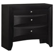 Tampa Furniture Outlet - Coaster - Briana 2-drawer Nightstand Black - 200702