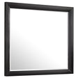 Tampa Furniture Outlet - Coaster - Briana Dresser Mirror Black - 200704