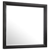 Tampa Furniture Outlet - Coaster - Briana Dresser Mirror Black - 200704