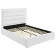 Tampa Furniture Outlet - Coaster - Felicity 53-inch Upholstered Full Platform Bed White - 203511F