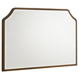Tampa Furniture Outlet - Coaster - Garland Dresser Mirror Brown Cherry - 205304