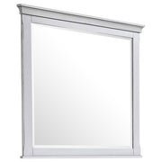 Tampa Furniture Outlet - Coaster - Franco Dresser Mirror Distressed White - 205334