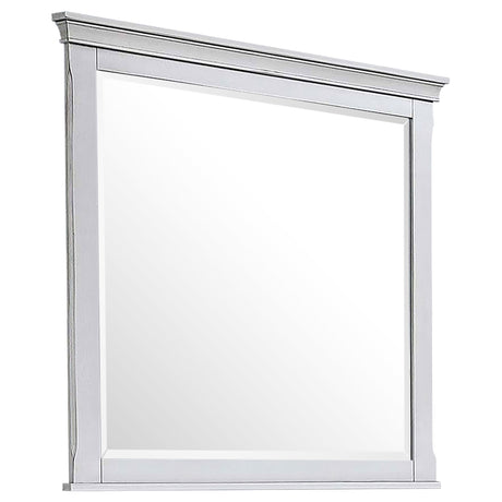 Tampa Furniture Outlet - Coaster - Franco Dresser Mirror Distressed White - 205334