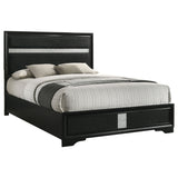 Miranda 54-inch Upholstered California King Panel Bed Black - Tampa Furniture Outlet