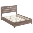 Tampa Furniture Outlet - Coaster - Brantford Wood Queen Storage Panel Bed Barrel Oak - 207040Q